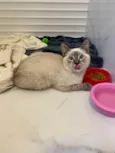 Miguel 
