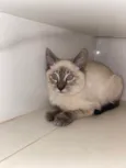 Miguel 