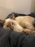 Miguel