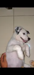Ainda sem nome 