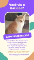 Bilbo