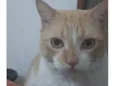 Bilbo