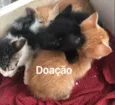 Ainda sem nomes