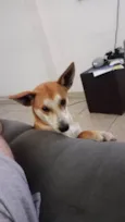 Paçoca