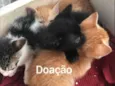 Ainda sem nomes