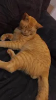 Darwin