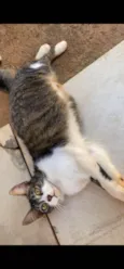 Tom