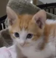 Nick