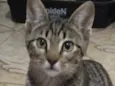 Teo