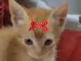 Nina