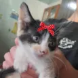 Mia