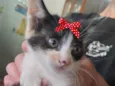 Mia