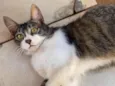 Tom