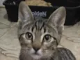 Teo