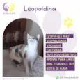 Leopoldina