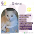 Gabriel