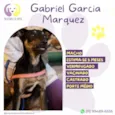 Gabriel