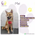 Mel