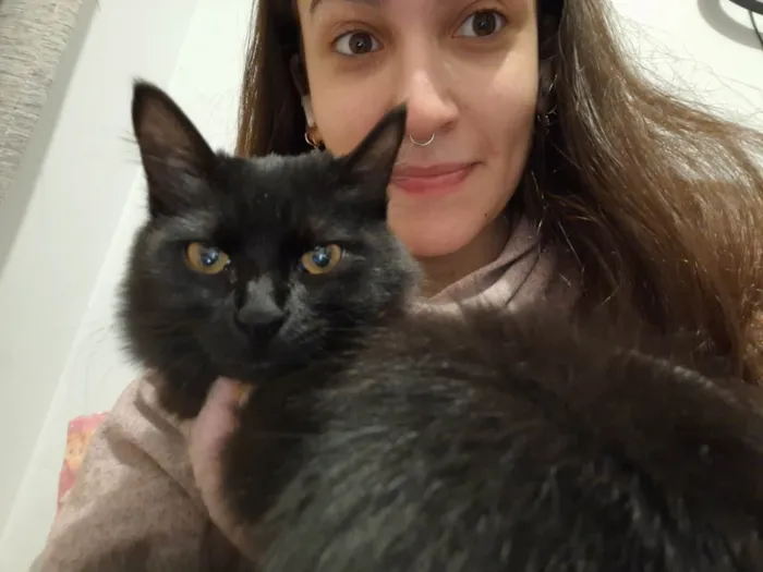 Gato ra a SRD-ViraLata idade 2 a 6 meses nome Agnes