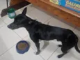 Colocamos nome de Trovao