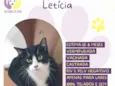 Letícia