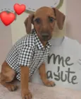 Leozinho