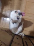 Look look