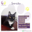 Sansão 