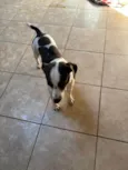 Ted