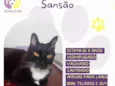 Sansão 