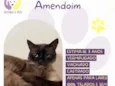 Amemdoim