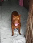 Zayla
