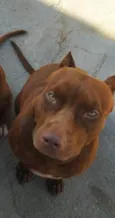 Zayla