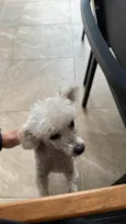 Nick