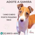Samira