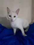 Rony