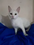 Rony