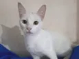Rony