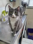 Pandora