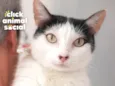 MIMI