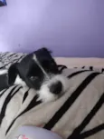 Spike