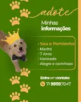 Pombinho