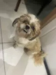 Lucky