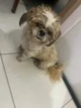 Lucky
