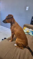 Lola