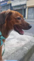 Lola
