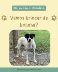 Romário
