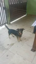 Apollo