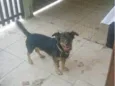 Apollo