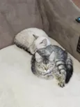 Zoe e Lua